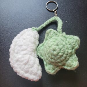 Moon and Star keychain/green & white