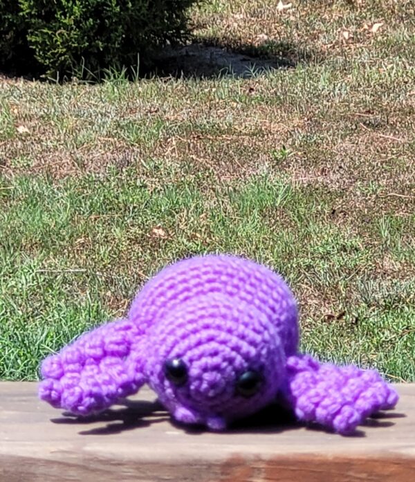 Purple spider